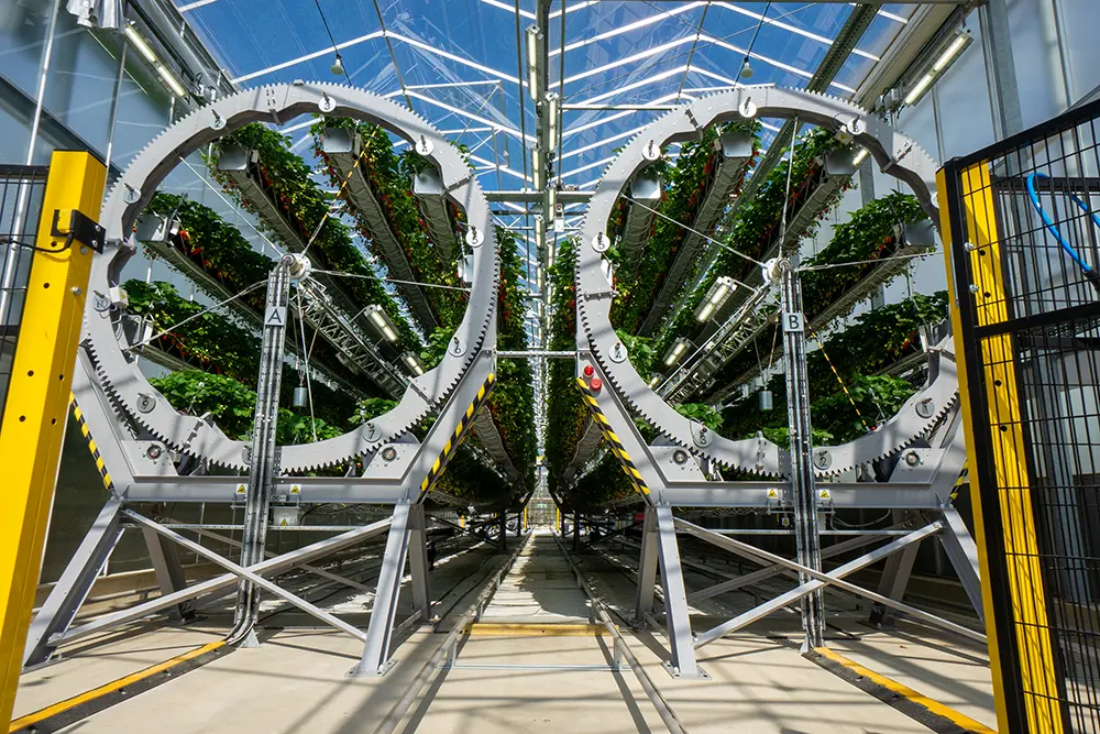 尼龙扎带在戴森垂直农场旋转式垂直草莓种植系统中的应用场景